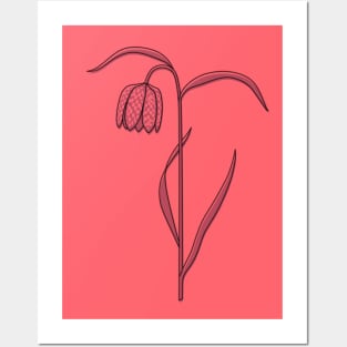 Snake's Head Fritillary pink Posters and Art